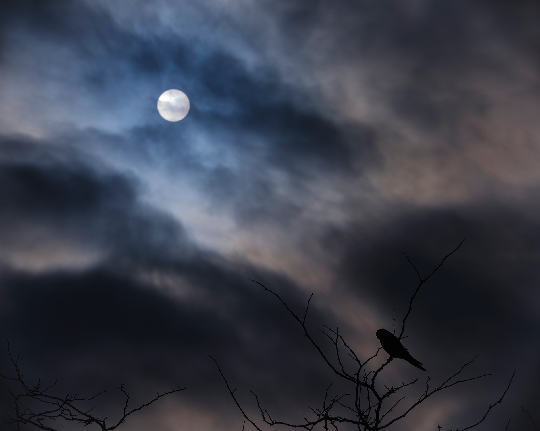 Die Sonne verfinstert sich